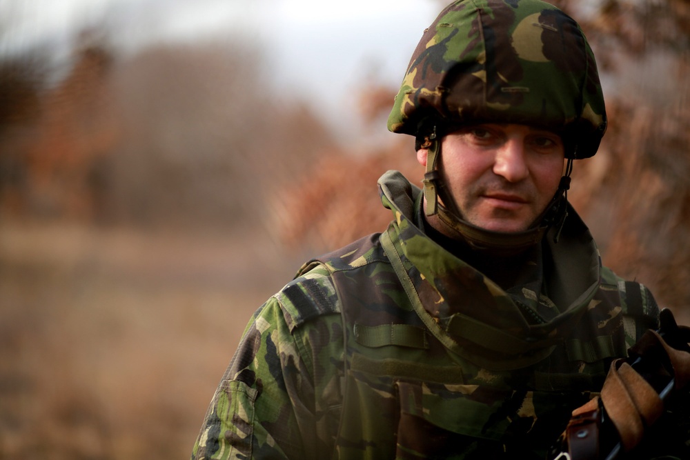 Marines and Romanians patrol and ambush in Platinum Lion exercise