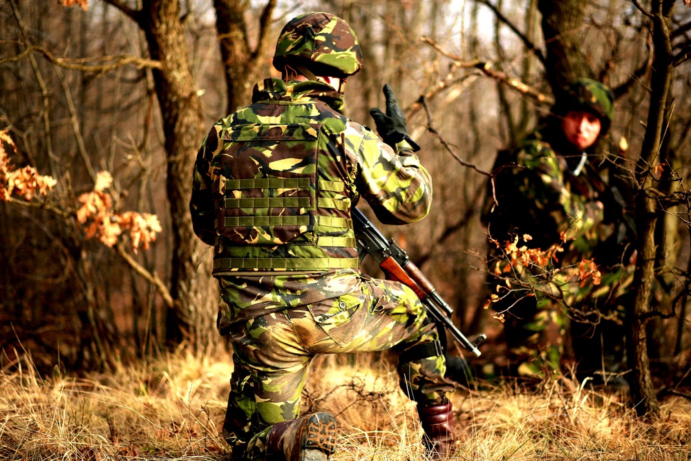 Marines and Romanians patrol and ambush in Platinum Lion exercise