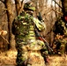Marines and Romanians patrol and ambush in Platinum Lion exercise