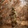 Marines and Romanians patrol and ambush in Platinum Lion exercise