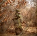 Marines and Romanians patrol and ambush in Platinum Lion exercise