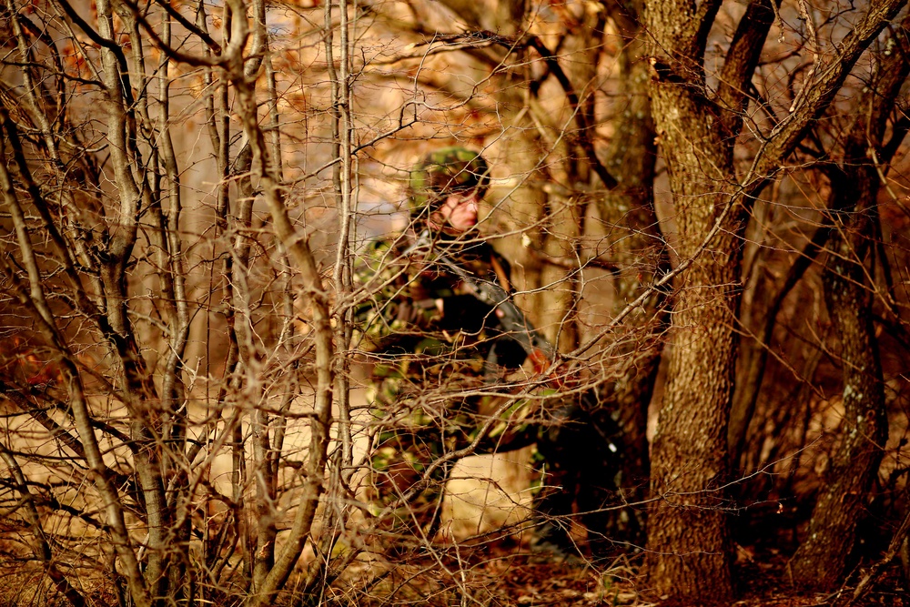 Marines and Romanians patrol and ambush in Platinum Lion exercise