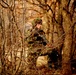 Marines and Romanians patrol and ambush in Platinum Lion exercise