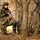 Marines and Romanians patrol and ambush in Platinum Lion exercise