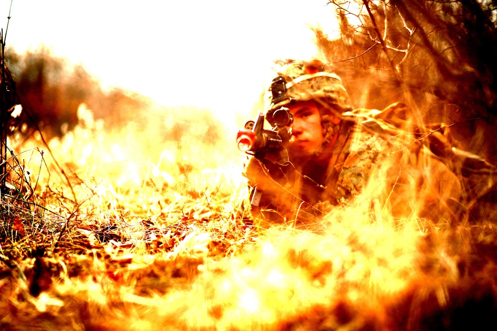 Marines and Romanians patrol and ambush in Platinum Lion exercise