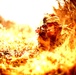 Marines and Romanians patrol and ambush in Platinum Lion exercise