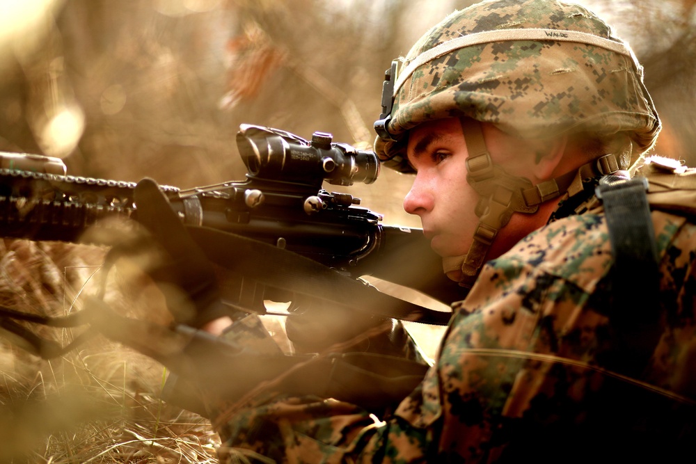 Marines and Romanians patrol and ambush in Platinum Lion exercise