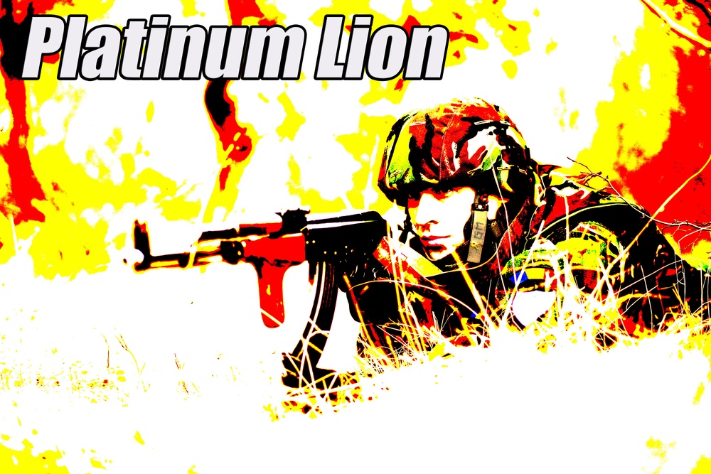 Marines and Romanians patrol and ambush in Platinum Lion exercise