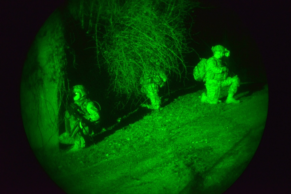 173rd Airborne Brigade day and night patrolling at Longare Complex