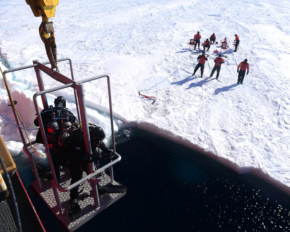 Antarctic dive ops
