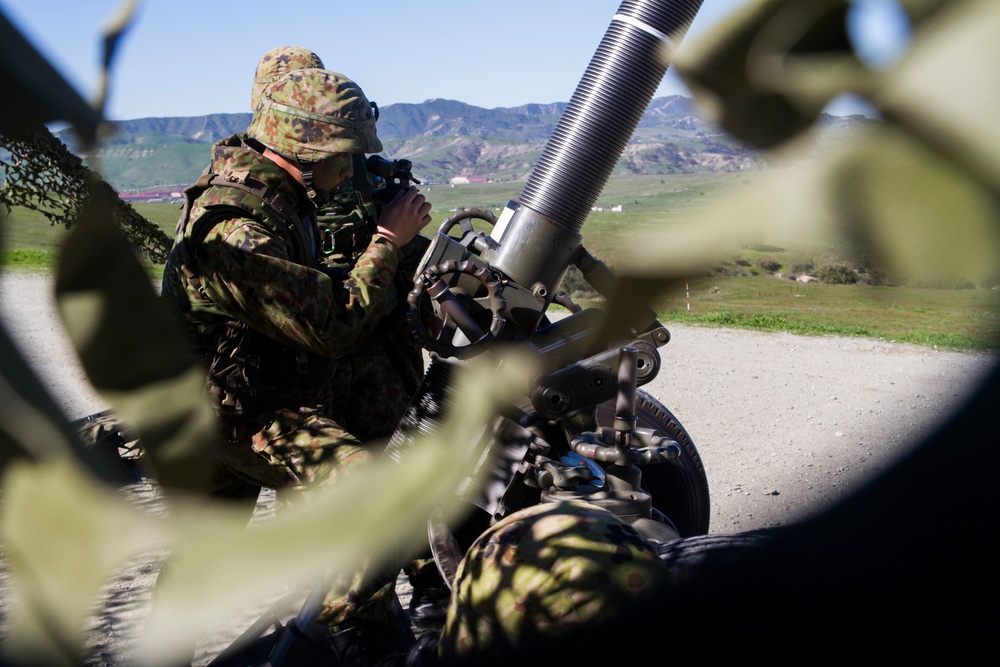 Marines and Japanese soldiers participate in mortar training during Iron Fist 2015