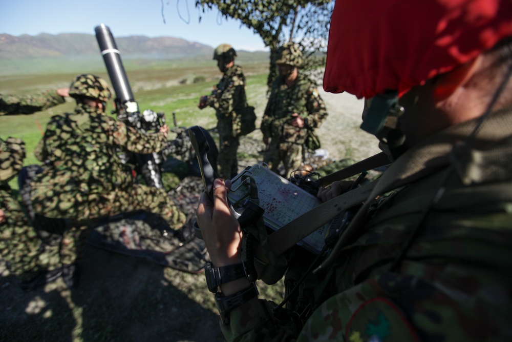 Japanese forces practice mortar fire with 1st ANGLICO