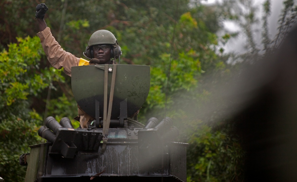 3rd Marines, Combat Assault Company, Assault Amphibian Platoon Pond Construction