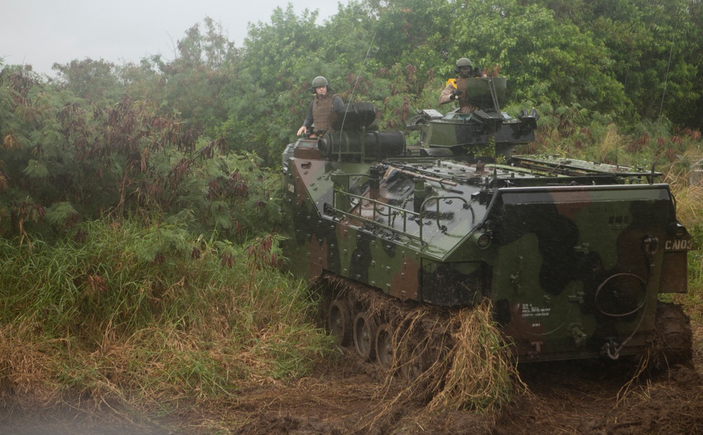 3rd Marines, Combat Assault Company, Assault Amphibian Platoon Pond Construction