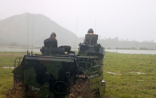 3rd Marines, Combat Assault Company, Assault Amphibian Platoon Pond Construction