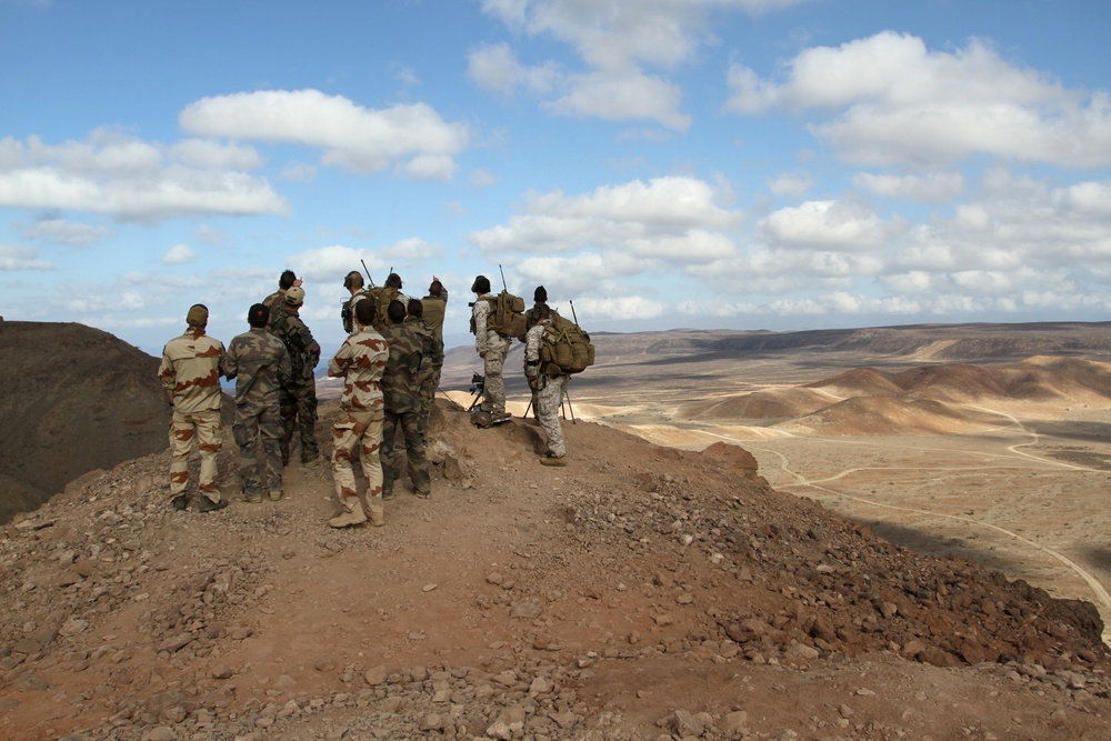 Joint Terminal Attack Controllers Bi-Lateral Training