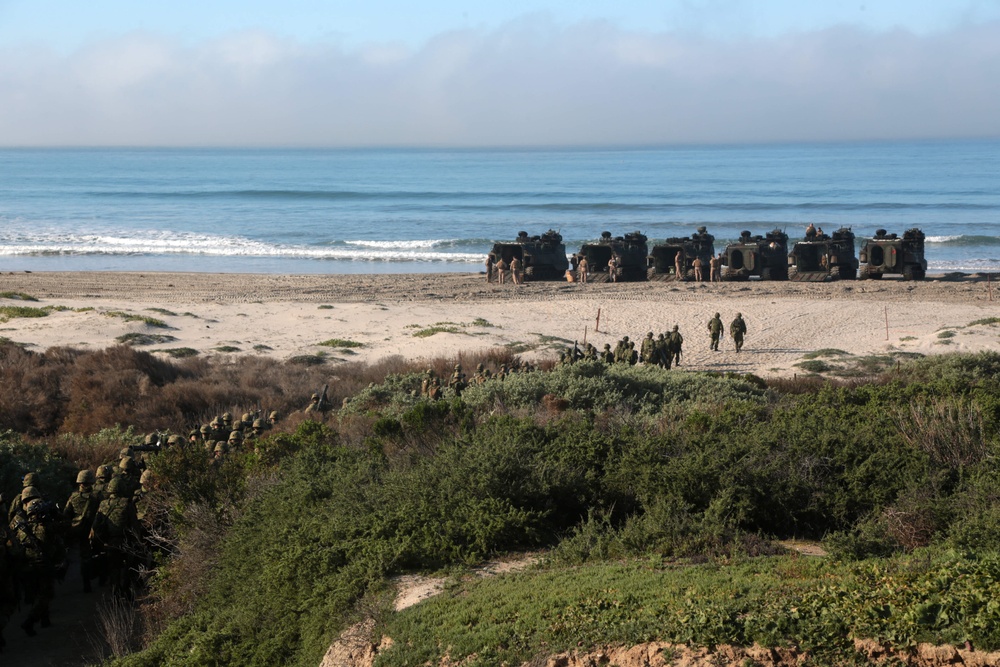 Iron Fist 2015 AAV Familiarization