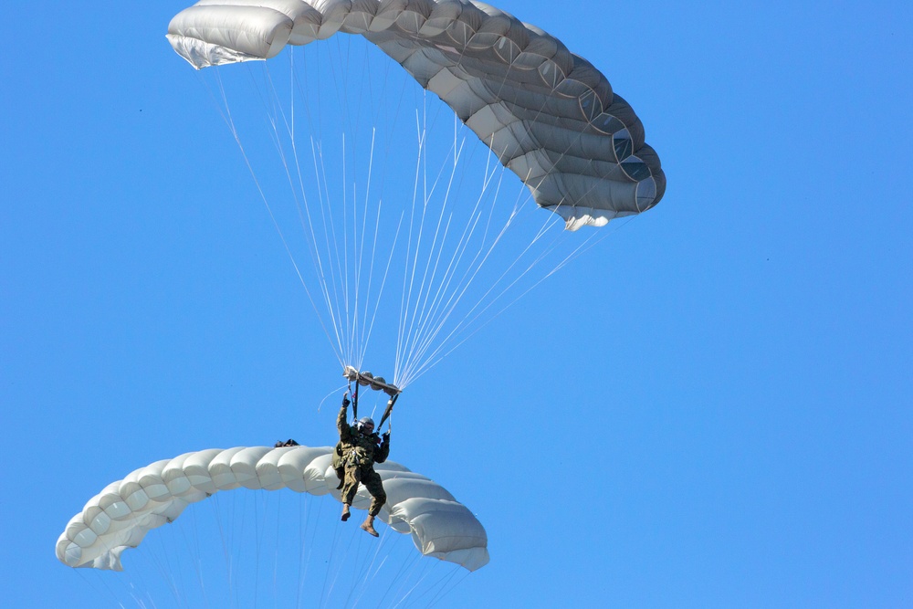 Grounded: 2nd Recon defies gravity