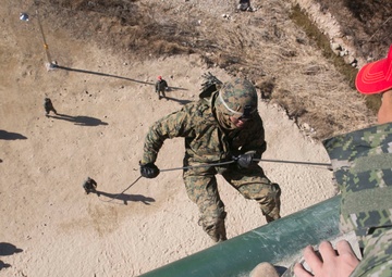 Rappel, Climb, Patrol, Repeat: ROK Marines, 3/3 Train Mountain Warfare