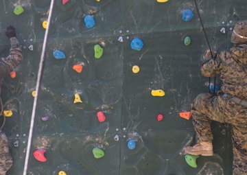 Rappel, Climb, Patrol, Repeat: ROK Marines, 3/3 Train Mountain Warfare