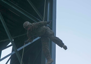 Rappel, Climb, Patrol, Repeat: ROK Marines, 3/3 Train Mountain Warfare
