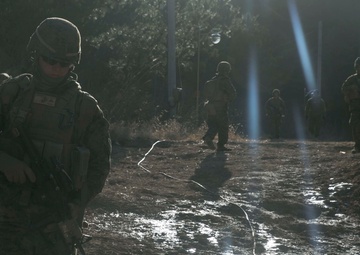 Rappel, Climb, Patrol, Repeat: ROK Marines, 3/3 Train Mountain Warfare