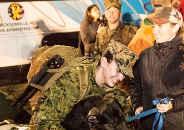 Logistics Combat Element returns from Africa deployment