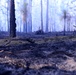 20th CES orchestrates prescribed burns at Poinsett