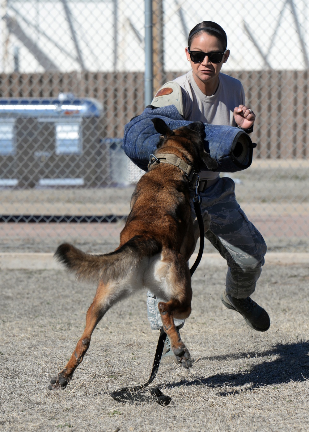 Altus’ working dog team enhances security forces mission