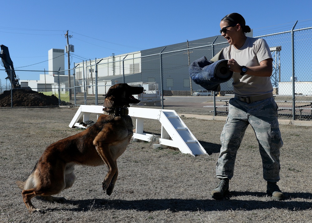 Altus’ working dog team enhances security forces mission