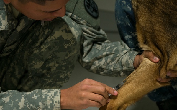 87th MDG treats MWD