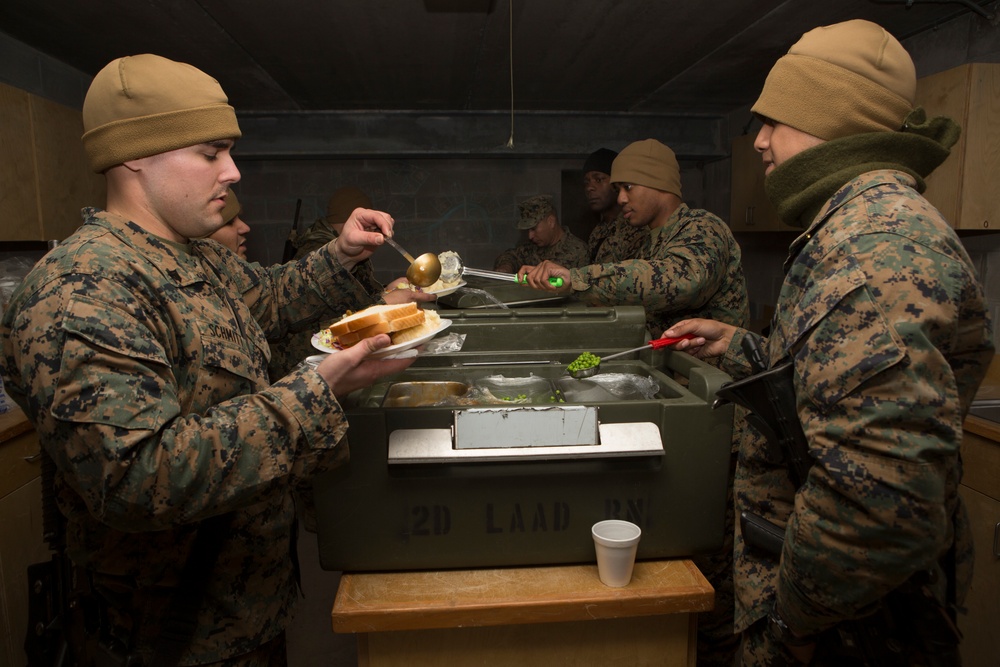 2d LAAD No Easy Day Field Training Exercise