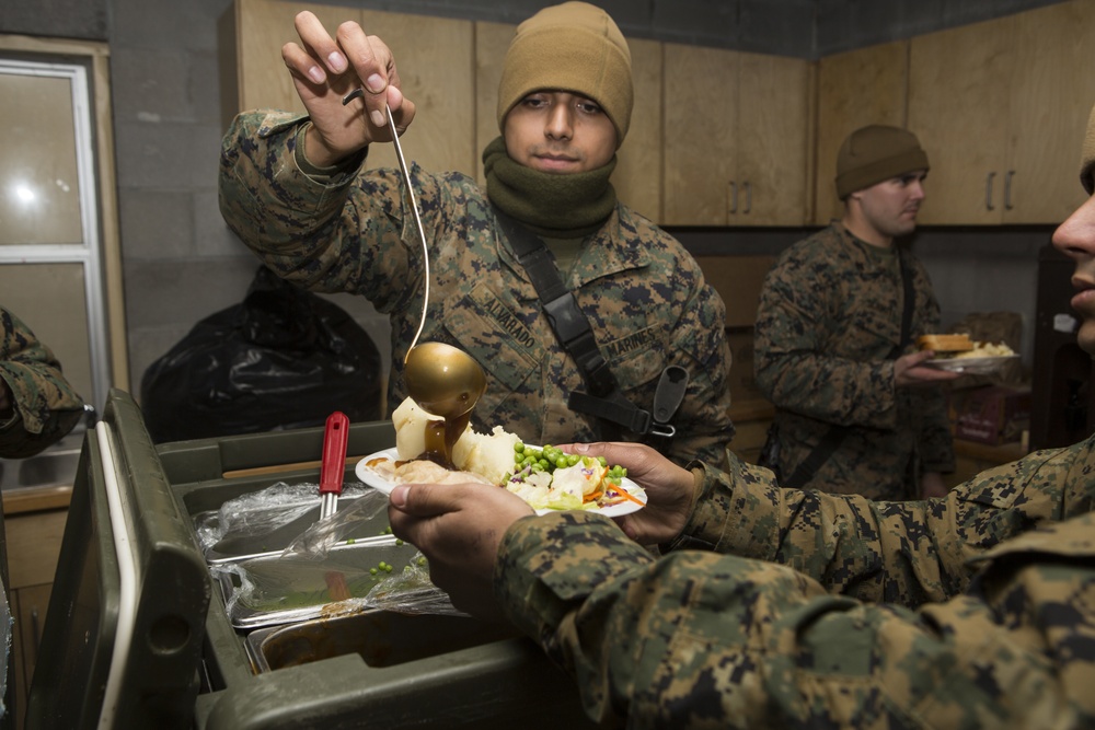 2d LAAD No Easy Day Field Training Exercise