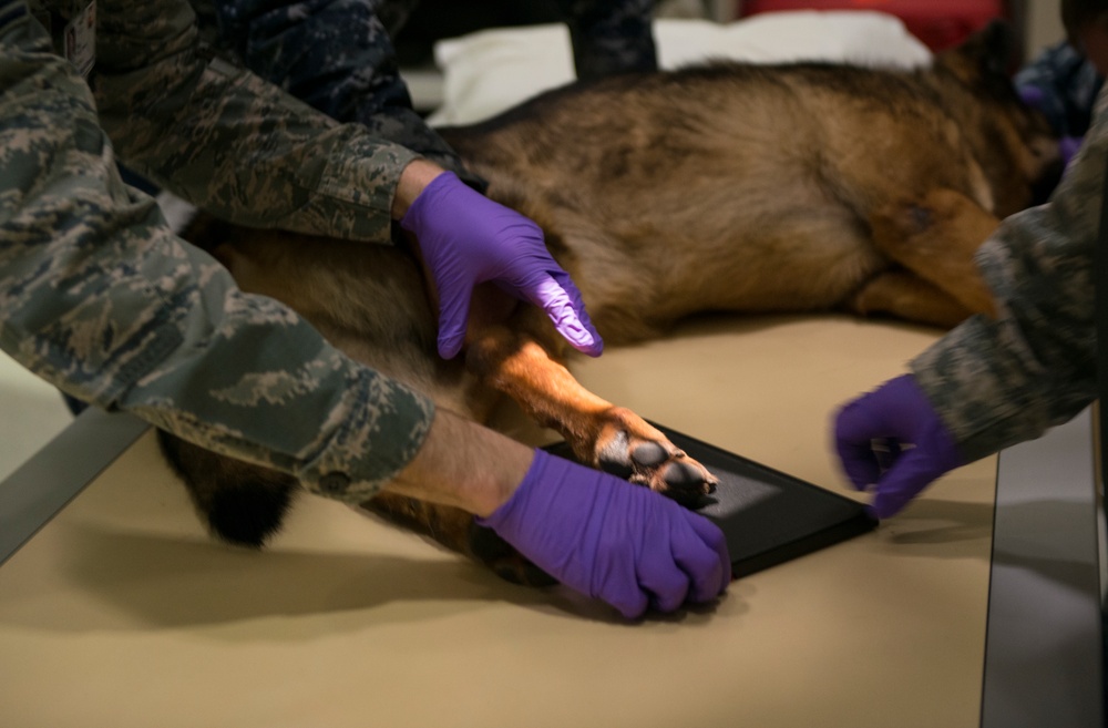 87th MDG treats MWD
