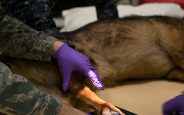 87th MDG treats MWD