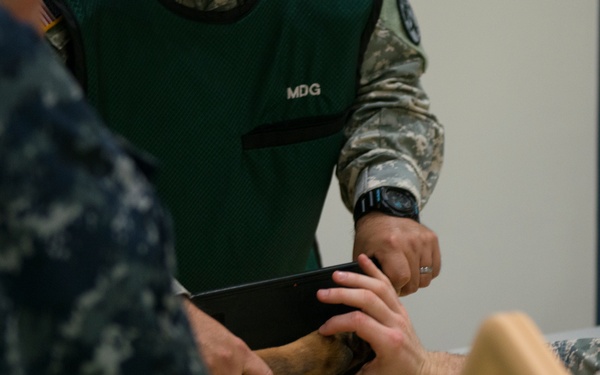 87th MDG treats MWD