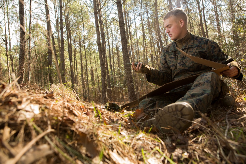 2d LAAD No Easy Day Field Training Exercise