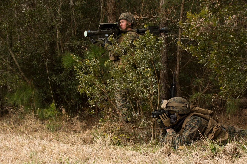 2d LAAD No Easy Day Field Training Exercise