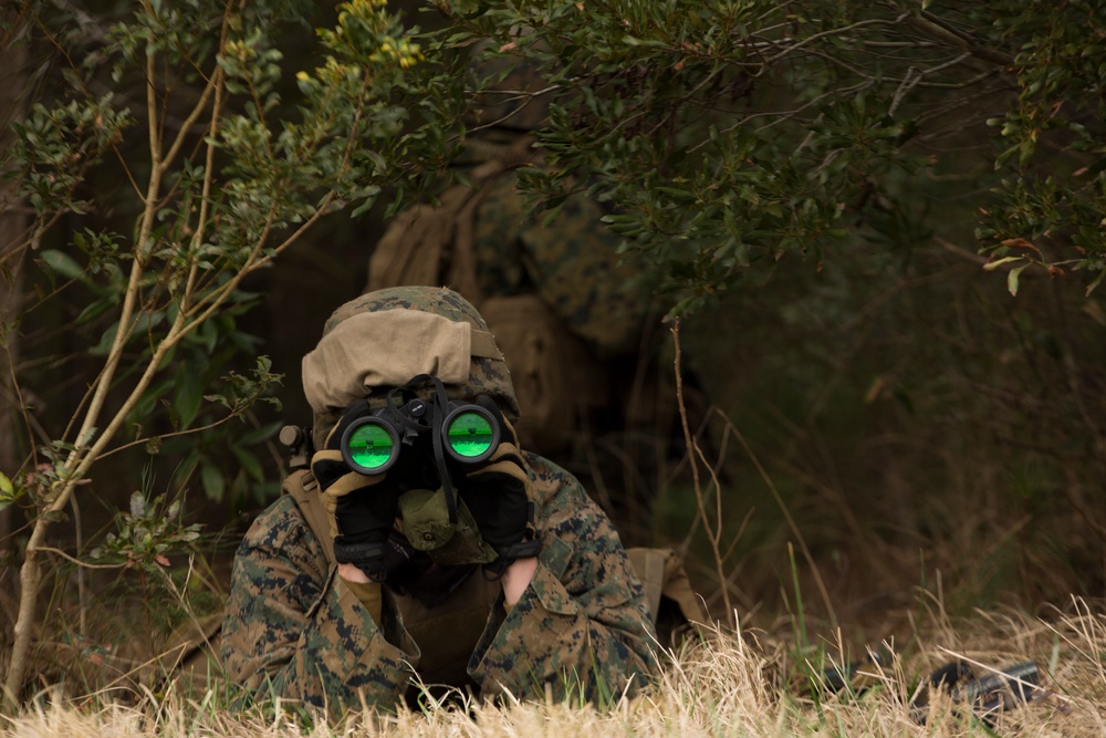 2d LAAD No Easy Day Field Training Exercise