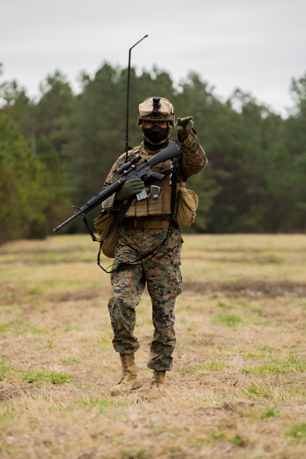 2d LAAD No Easy Day Field Training Exercise