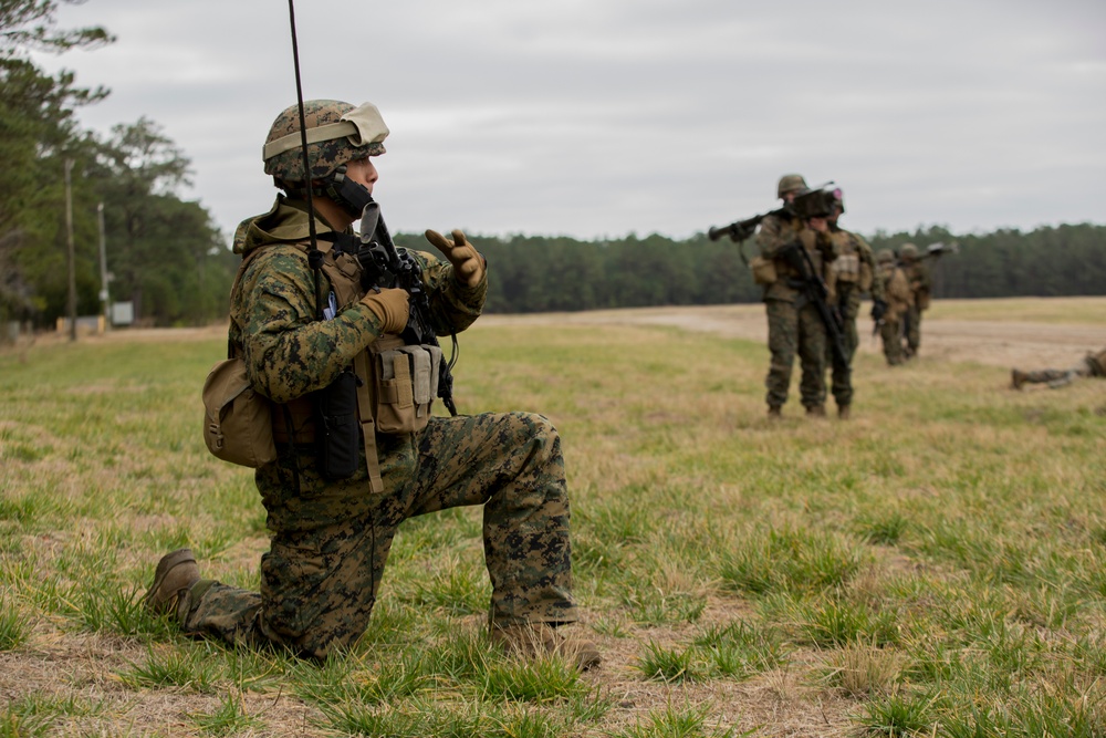 2d LAAD No Easy Day Field Training Exercise