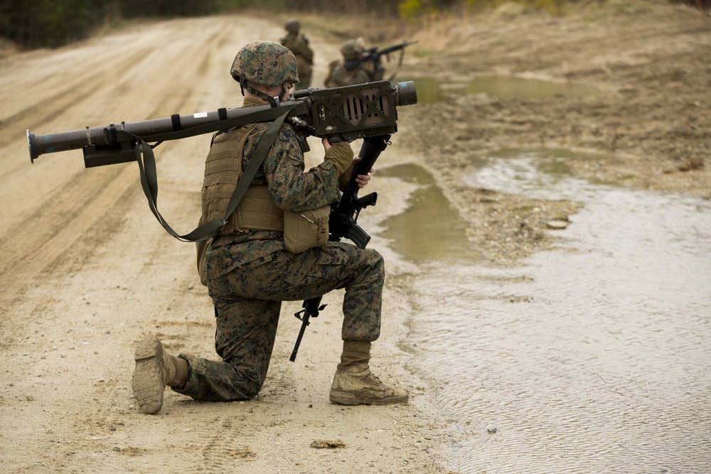 2d LAAD No Easy Day Field Training Exercise