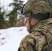 US Stryker regiment exercise in Estonia