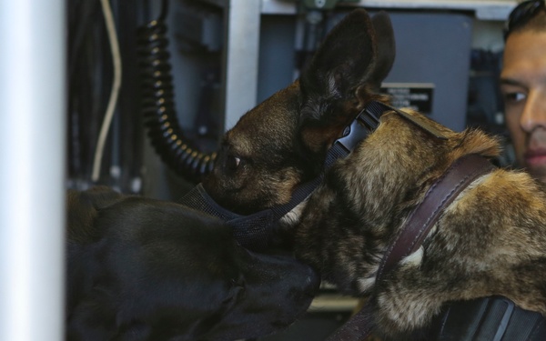 1st LEB dog training with the support of ACU-5