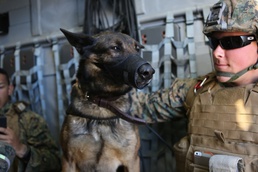 1st LEB dog training with the support of ACU-5