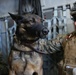 1st LEB dog training with the support of ACU-5