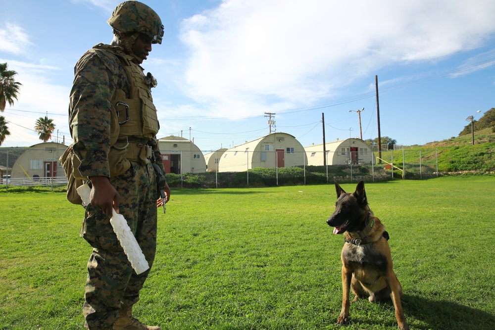 Law Enforcement Detachment brings Crime Fighting to the Battlefield