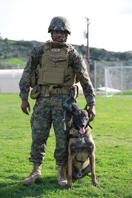 Law Enforcement Detachment brings Crime Fighting to the Battlefield