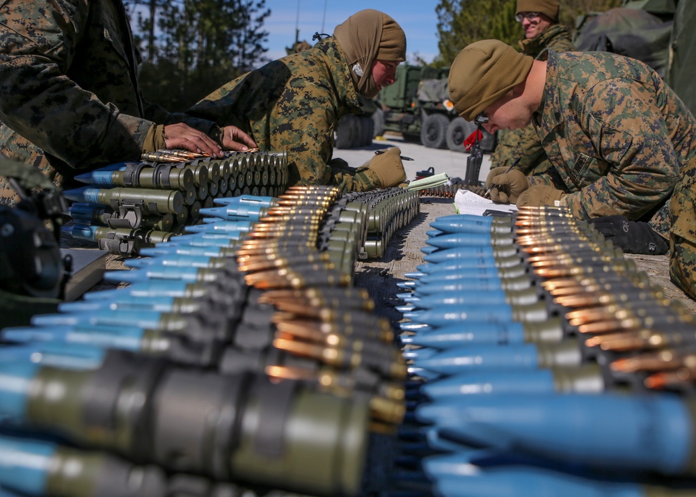 Pass or Fail: LAR Marines complete gunner qualification as a team