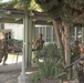 7th Marines conduct embassy reinforcement training